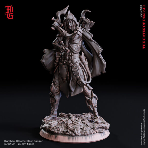 Darshee, Gloomstalker Ranger