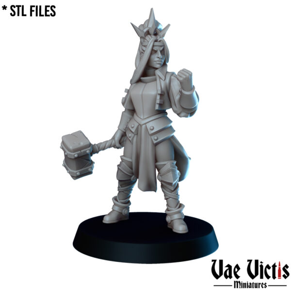 Cleric - x1