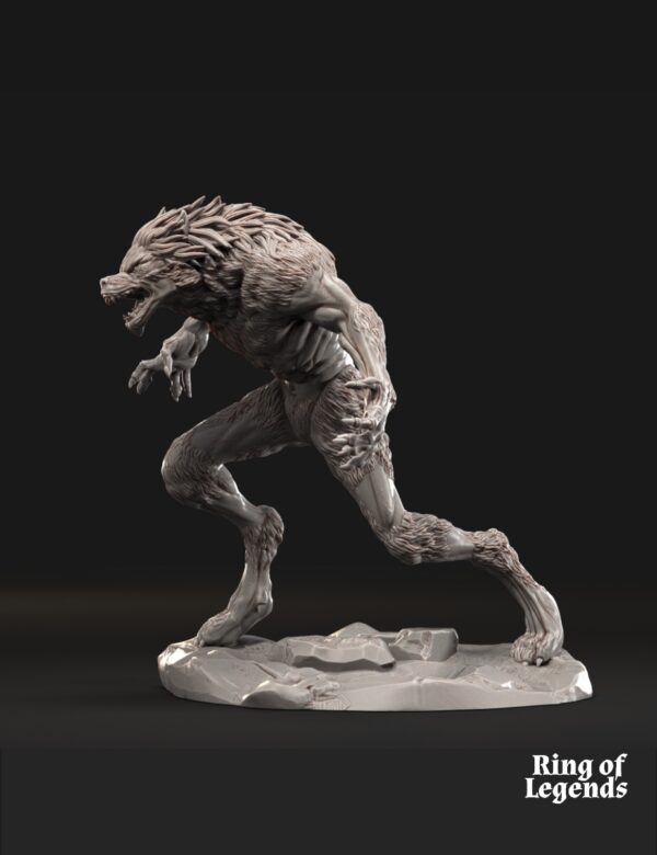 Lycanthropes of Anagar x3
