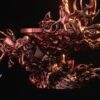 61e9e44e34b461f85ab84151f0b32c68.jpg Soulthrone - Undead KIng/Vampire Oltar - x1