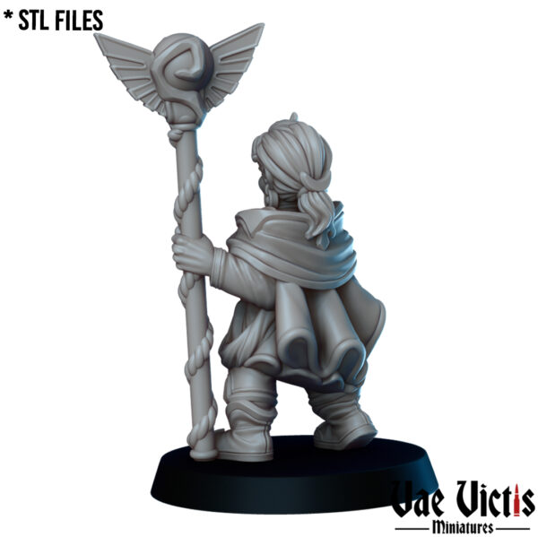The Gnome healer - x1