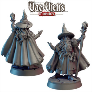 Wizard - x1