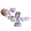 6937703e2f3a9dbe72667f5b84bb77bc.png Dragon Carcass - Ciało Smoka