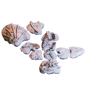 Dragon Carcass - Ciało Smoka