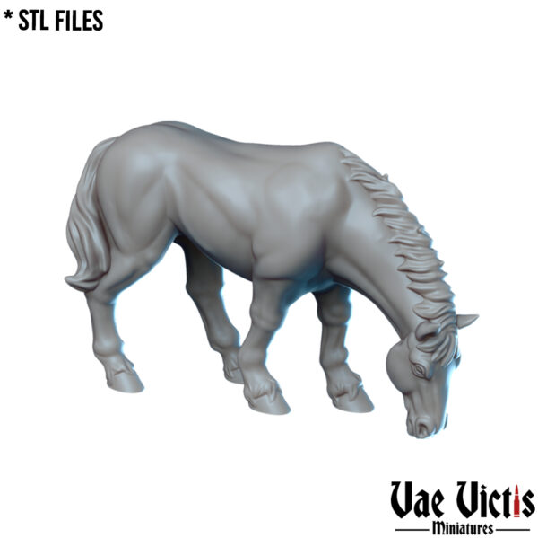 The Horses - x1