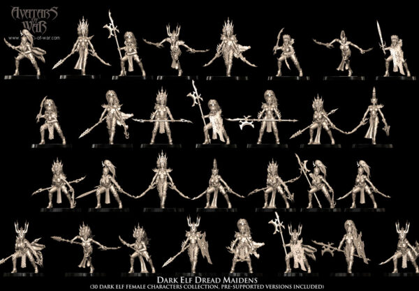 697429f7e59278bc45d2dc05cc47028e.jpg Dark Elf Dread Maidens - x10