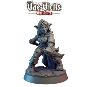 Goblin Rogue - x1