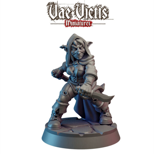 72f9cf79c76efc15251cb3bd9c76ff8d.jpg Goblin Rogue - x1
