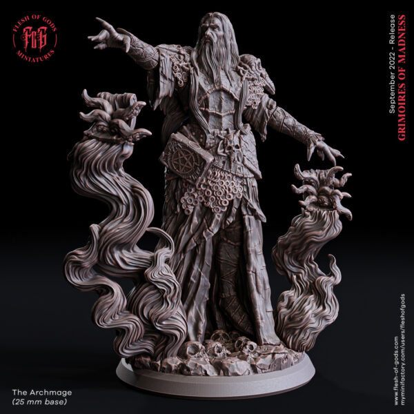The Archmage - Arcymag - Boss