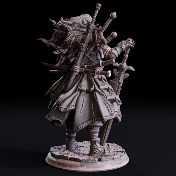 The Sword Collector