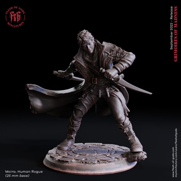 Moira Silverblade, Human Rogue - Bohater Łotrzyk