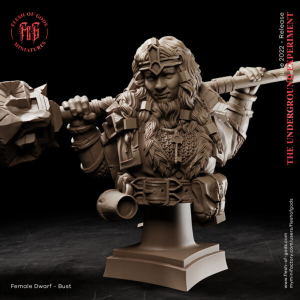 Female Dwarf Warrior Popiersie - Flesh of Gods