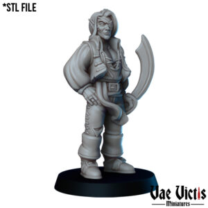 Elf pirate - x1
