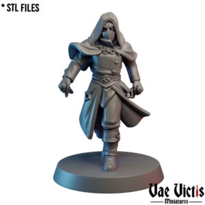 Dark Rogue - x1