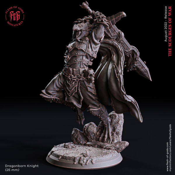 9d56939956ab5229f4a58b44793a4ce1.jpg Dragonborn Knight