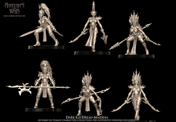a9c9c3d487b0a507830e88056a3ed0ac.jpg Dark Elf Dread Maidens - x10