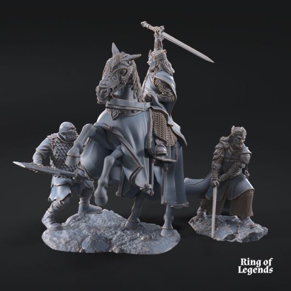 aa06353406ff0cee6296cc09218b4d6e-1.jpg High King of Grey Castle mtd and foot