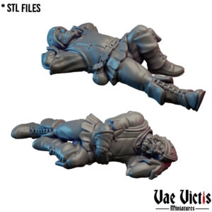 Sleeping guard - x1