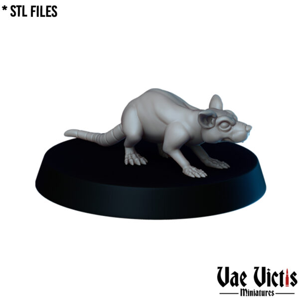 aaa71c56de2fdb39609cf3406928335e.jpg Rats - x3