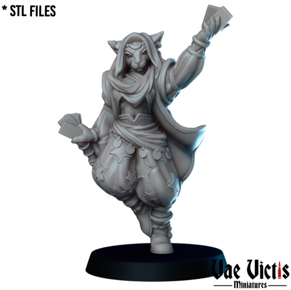 The Tabaxi diviner - x1