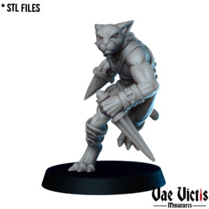 Tabaxi gladiator - x1