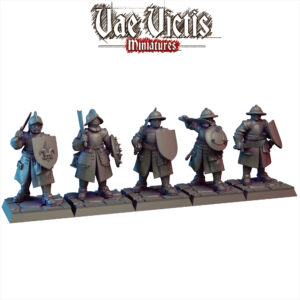 Vampire Hunters Warband - x5