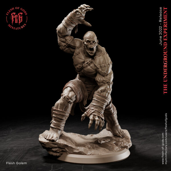 ca0aa708d54cc4229c87a73029263fb2.jpg Flesh Golem - Flesh of Gods
