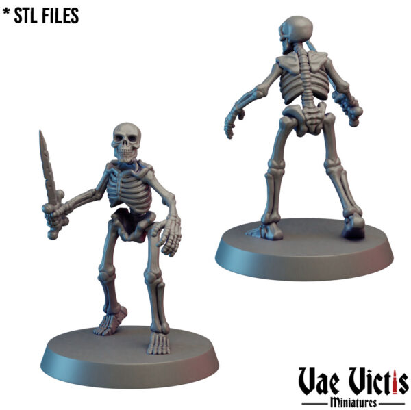 Assembled Skeletons - x13