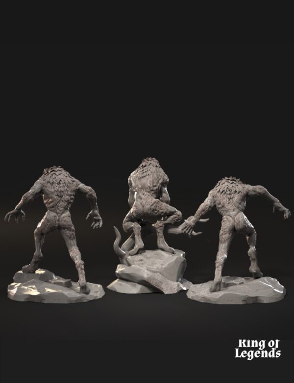 Lycanthropes of Anagar x3
