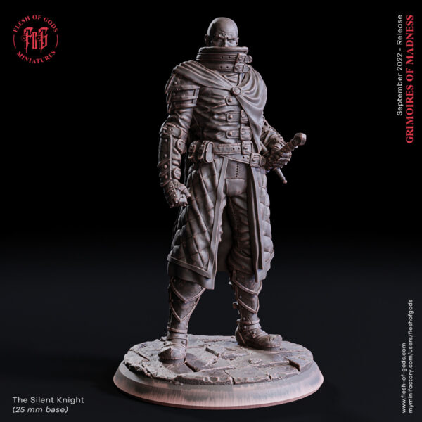 db1291d7e1ca562e9de198cb79c7d9f2.jpg The Silent Knight