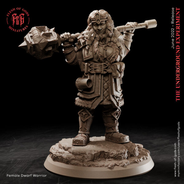 Female Dwarf Warrior - Krasnoludzka Wojowniczka - Flesh of Gods