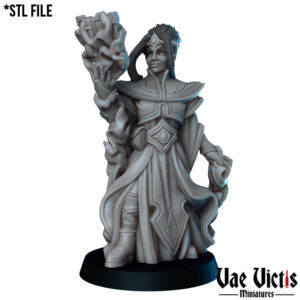 Wizard (woman) - x1