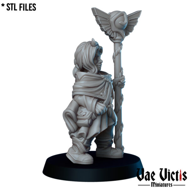 The Gnome healer - x1