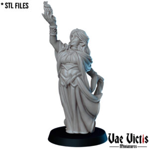 The Firbolg mage - x1