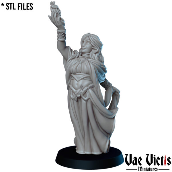 The Firbolg mage - x1
