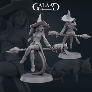 ef2249def45716ec7dc2a9f527d96b53.jpg Female Witch Broom