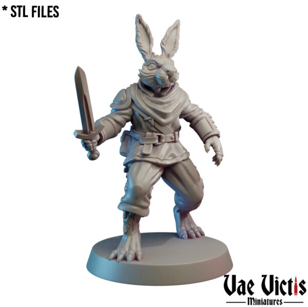 Rabbit Fighter - x1