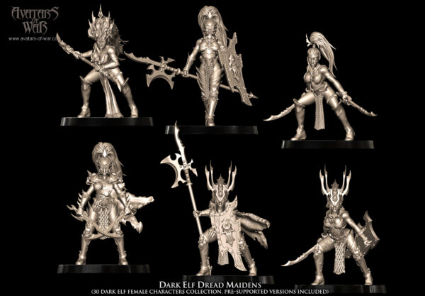 f351ebdd98292f421c92806bf67d4bd8.jpg Dark Elf Dread Maidens - x10