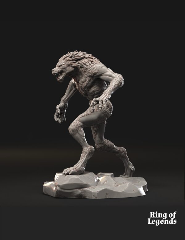 Lycanthropes of Anagar x3