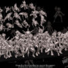 f71b067426252e1a425eaf2ee16e5684.jpg Dark Elf Witches Battle-Ready - x5