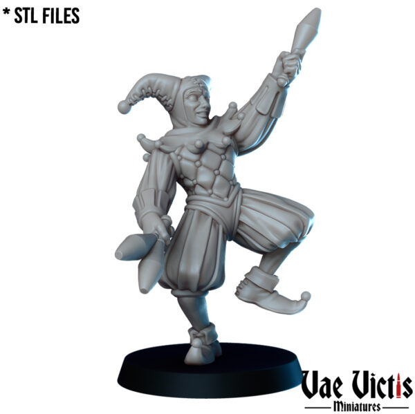 fe569662de9351ffea66215d7fdc82e6.jpg The Jester - x1