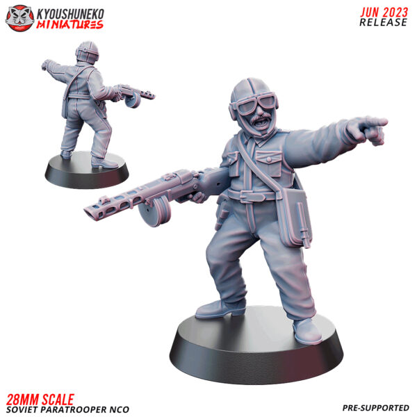 20889d2a8746d9081ffb101f2dd46523.jpg Non Commission Officer Soviet Paratrooper - x1