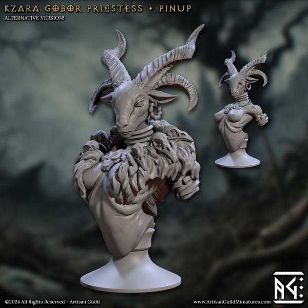 26fb1537be9f4bd67e9e2306d1ec3722-1.png BUST - Kzara Gobor Priestess SFW - x1