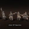 0b22317a61cdce236e9ed88c9d59a236.png Wood Elf Spearmen - x6