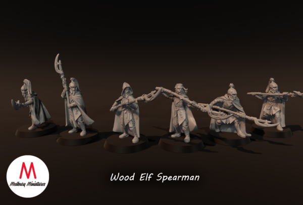 0b22317a61cdce236e9ed88c9d59a236.png Wood Elf Spearmen - x6