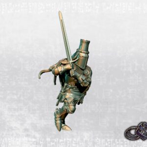 1f81bc3e622cd5b1db29472bd10a39a1.jpg Navarresse Lord Knight on Foot - x1
