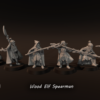 24ddd2e76d16ab449d961ffbe8f29c25.png Wood Elf Spearmen - x1