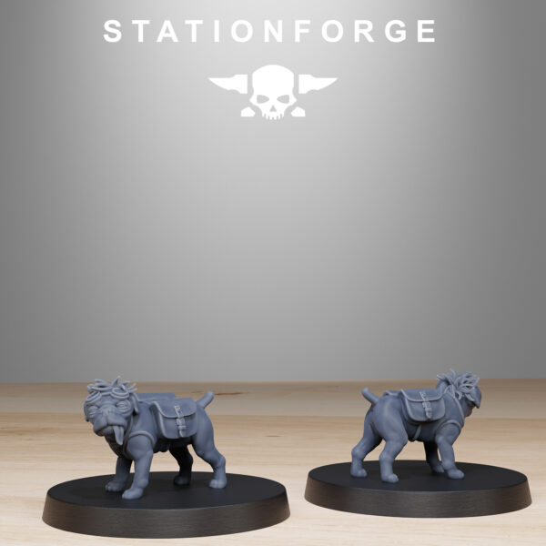 GrimGuard Skulldart Trappers - x10
