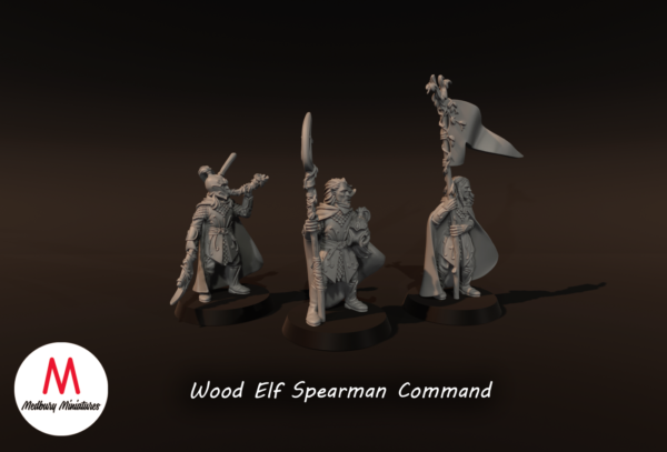 33ab2b2a1e328268fcd62f7a72ad23cb.png Wood Elf Spearmen Command - x3