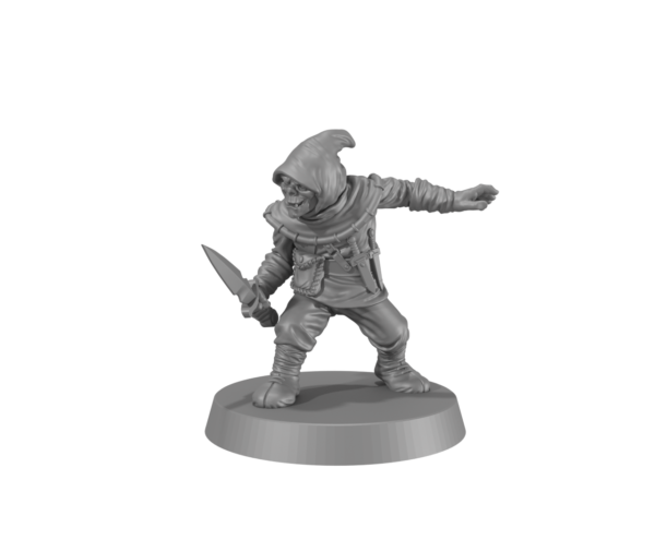 Half-Orc Assassin -1x
